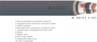 Cabluri de energie XLPE / CTS / PVC / SWA / PVC 12,7 / 22 kV